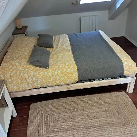 公寓 Quiet 2-room In Koenigshoffen 斯特拉斯堡